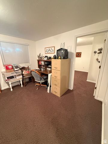 591 E 300 S, Mt Pleasant, UT 84647