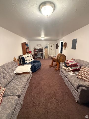 591 E 300 S, Mt Pleasant, UT 84647