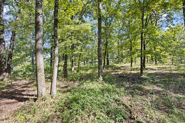 10237 Carter Cove Road, Plainview, AR 72857