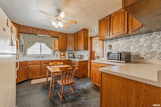 313 S WARREN Street, Tremont, IL 61568