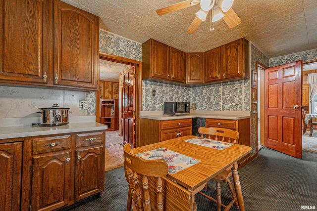 313 S WARREN Street, Tremont, IL 61568