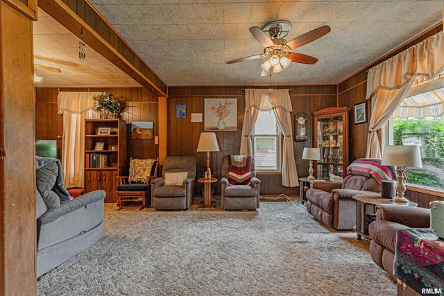 313 S WARREN Street, Tremont, IL 61568