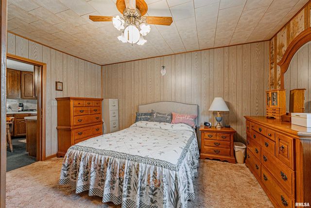 313 S WARREN Street, Tremont, IL 61568