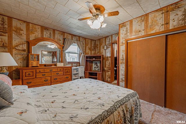313 S WARREN Street, Tremont, IL 61568
