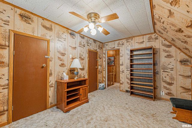 313 S WARREN Street, Tremont, IL 61568
