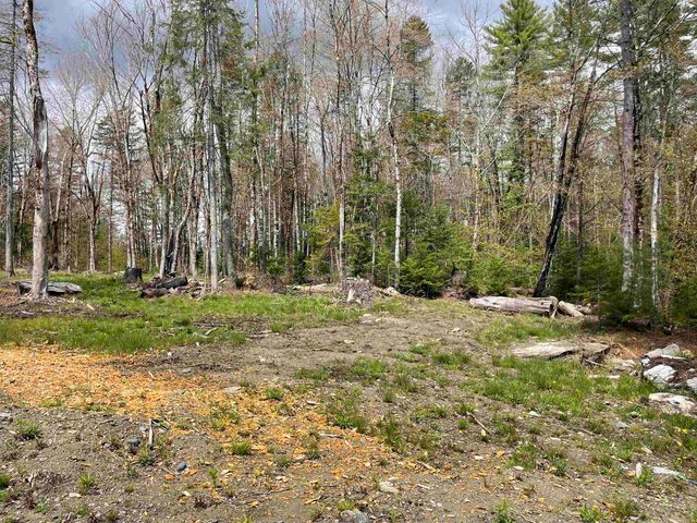 33 Forrest Lane, Newfane, VT 05345
