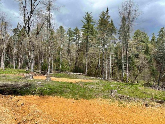 33 Forrest Lane, Newfane, VT 05345