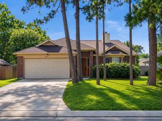 80 Laughing Brook Court, The Woodlands, TX 77380
