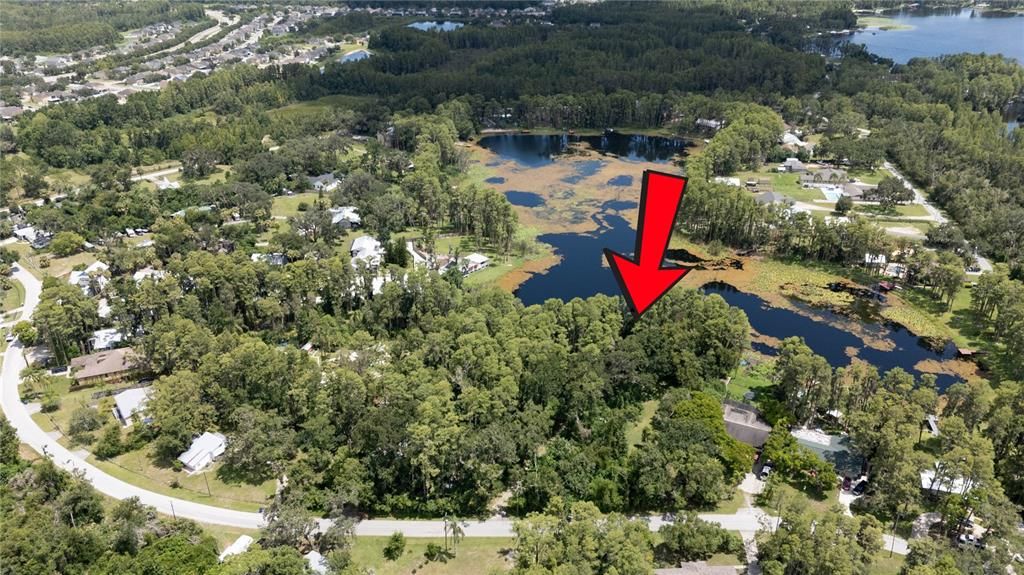 22048 DUPREE DRIVE, Land O Lakes, FL 34639