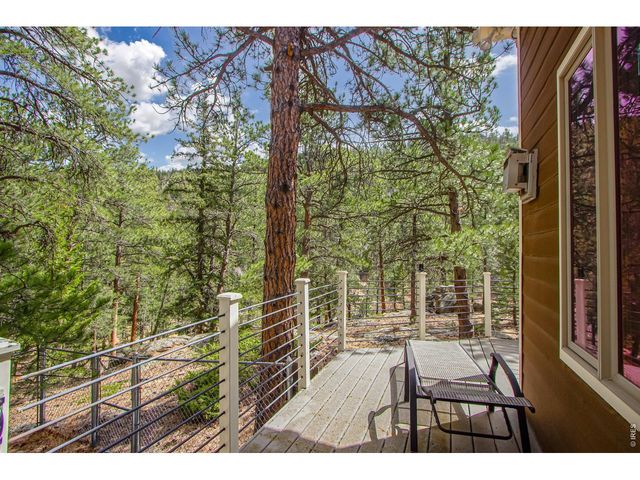 117 Aspen Dr, Lyons, CO 80540