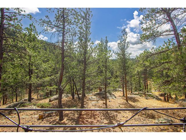 117 Aspen Dr, Lyons, CO 80540