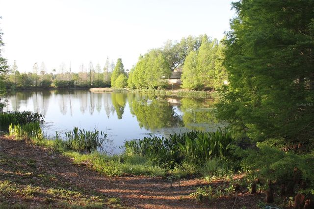 18035 BIRDWATER DRIVE, Tampa, FL 33647