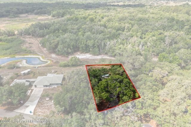 34575 Orchid Parkway, Dade City, FL 33523