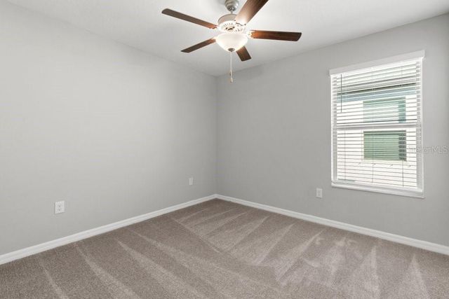 4436 GLOBE THISTLE DRIVE, Tampa, FL 33619