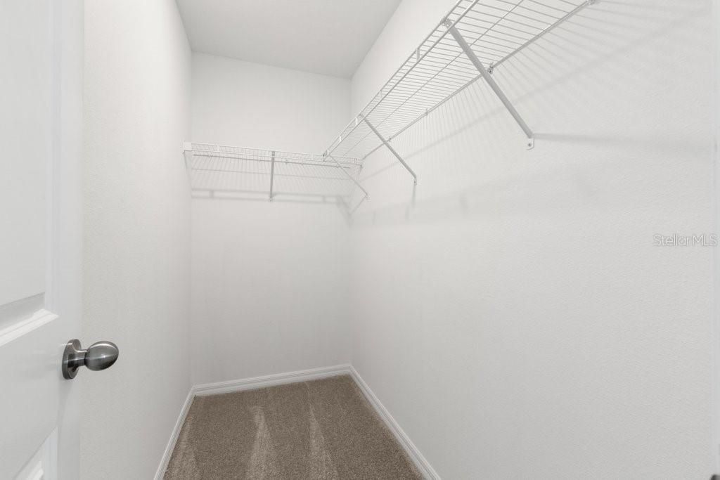 Image 13 of property listing at 4436 GLOBE THISTLE DRIVE, Tampa, FL 33619