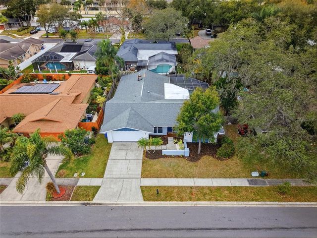 3442 GLOSSY IBIS COURT, Palm Harbor, FL 34683