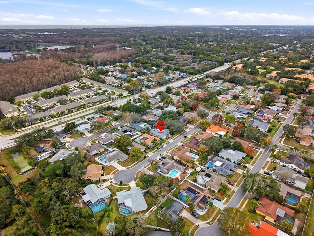 3442 GLOSSY IBIS COURT, Palm Harbor, FL 34683