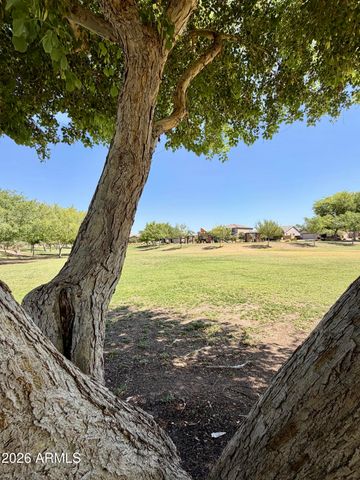 8216 S 42ND Lane, Laveen, AZ 85339