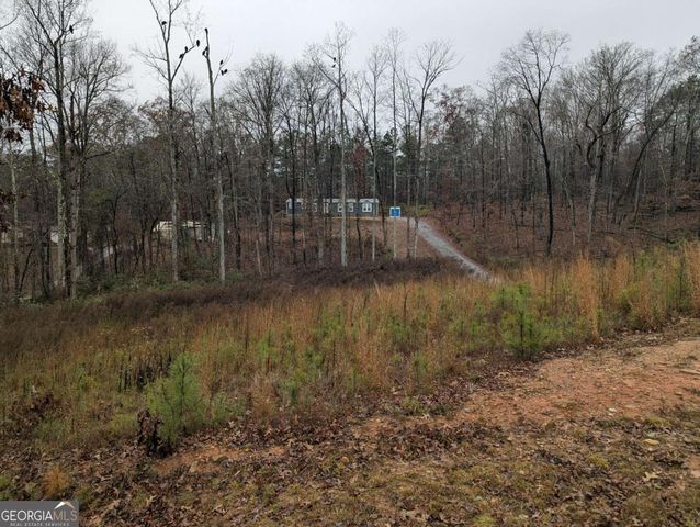 165 W Hulett Lane, Carrollton, GA 30116