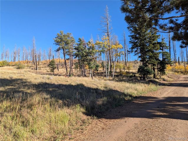 1207 Emery Loop, Fort Garland, CO 81133