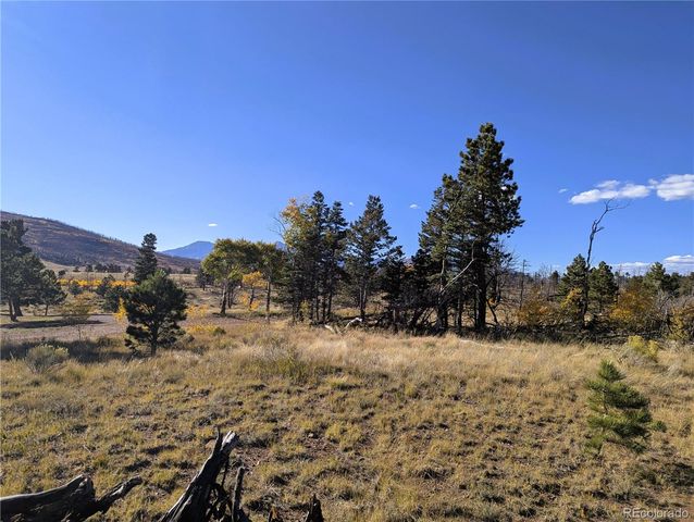 1207 Emery Loop, Fort Garland, CO 81133