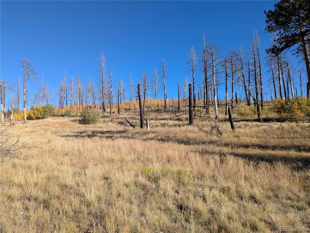 1207 Emery Loop, Fort Garland, CO 81133