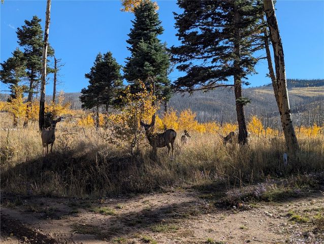 1207 Emery Loop, Fort Garland, CO 81133