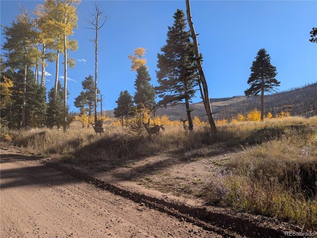 1207 Emery Loop, Fort Garland, CO 81133