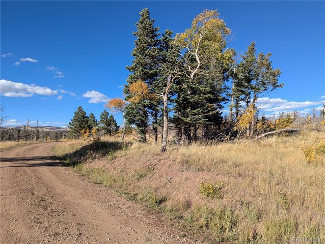 1207 Emery Loop, Fort Garland, CO 81133