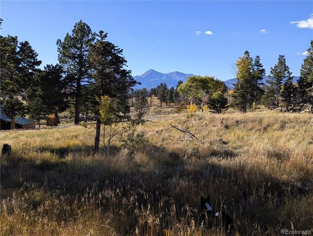 1207 Emery Loop, Fort Garland, CO 81133