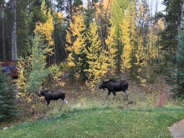 387 Gold King Way, Breckenridge, CO 80424
