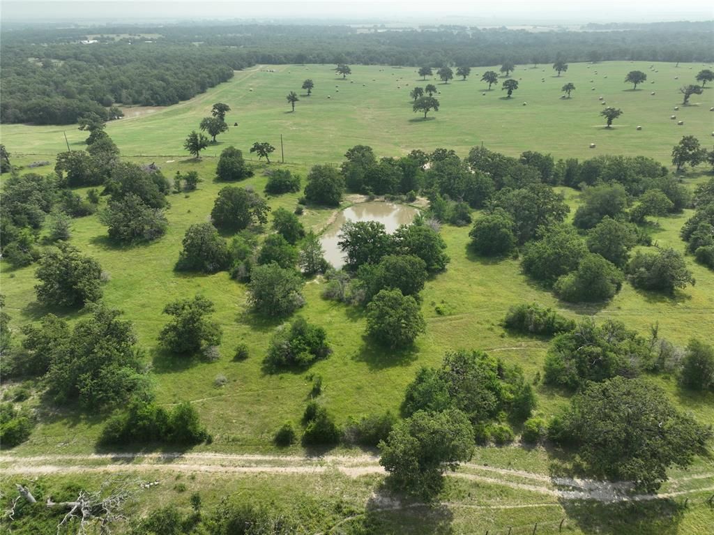 TBD County Road 446 Lane, Snook, TX 77878