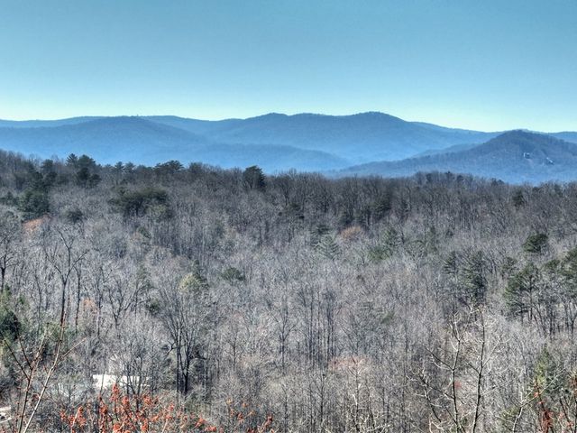 195 Trina Lane, Blue Ridge, GA 30513