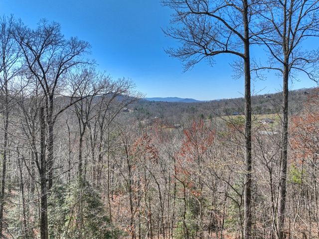 195 Trina Lane, Blue Ridge, GA 30513