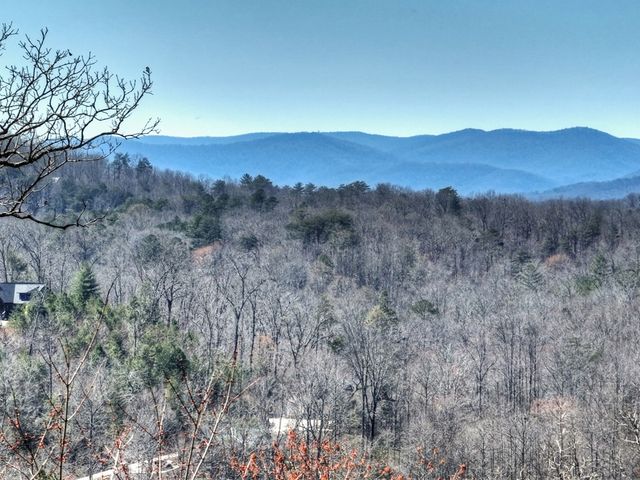 195 Trina Lane, Blue Ridge, GA 30513