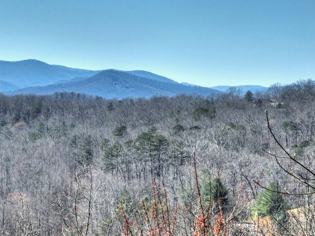 195 Trina Lane, Blue Ridge, GA 30513