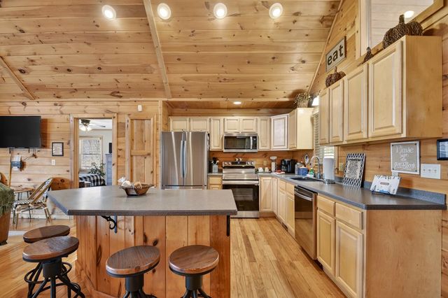 195 Trina Lane, Blue Ridge, GA 30513