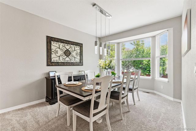 17102 E Rosebay Circle, Parker, CO 80134