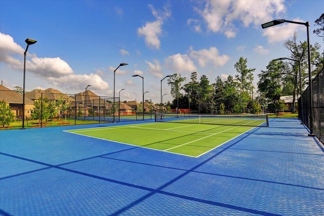 4411 Lone Alcove Drive, Spring, TX 77386