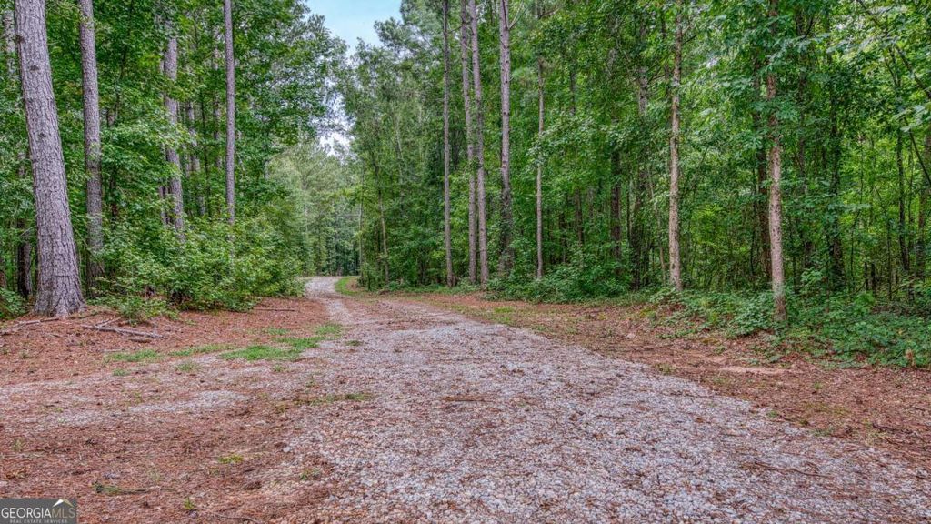 140 Levi Trail, Nicholson, GA 30565 — photo 4