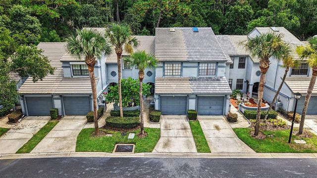 4107 BRENTWOOD PARK CIRCLE, Tampa, FL 33624