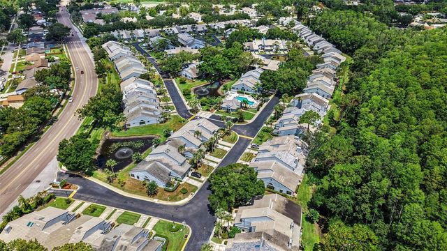 4107 BRENTWOOD PARK CIRCLE, Tampa, FL 33624
