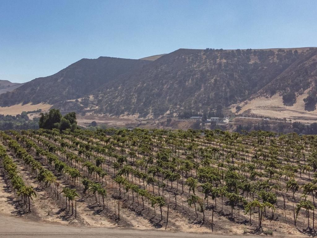 Image 17 of property listing at 0 Airline Highway, Tres Pinos, CA 95075