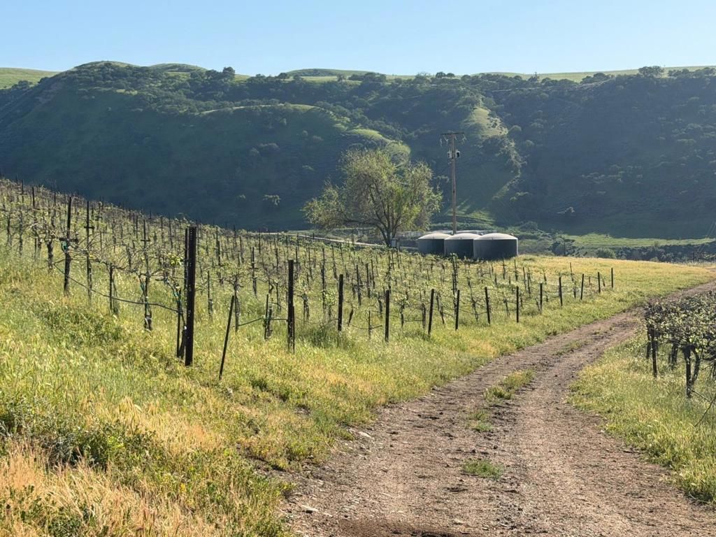 Image 19 of property listing at 0 Airline Highway, Tres Pinos, CA 95075