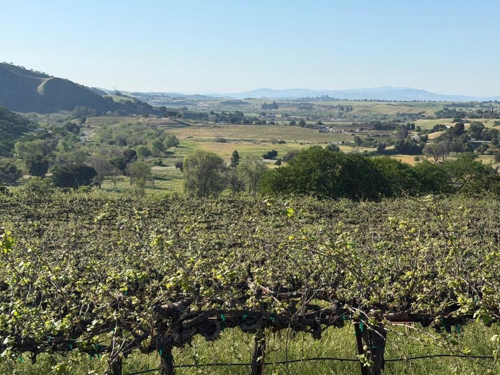 Image 20 of property listing at 0 Airline Highway, Tres Pinos, CA 95075