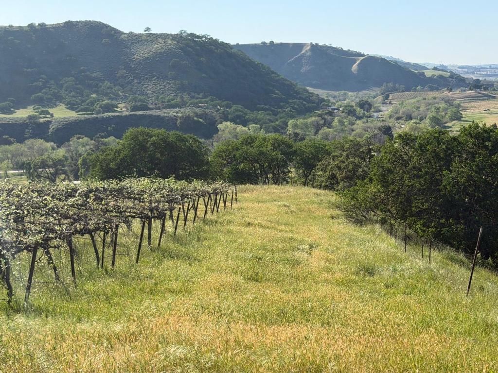 Image 21 of property listing at 0 Airline Highway, Tres Pinos, CA 95075