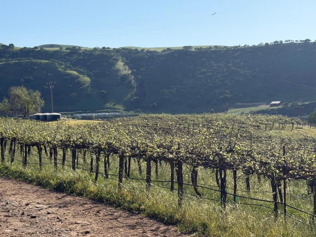 Image 22 of property listing at 0 Airline Highway, Tres Pinos, CA 95075