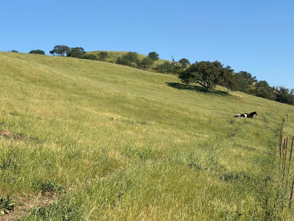 Image 24 of property listing at 0 Airline Highway, Tres Pinos, CA 95075