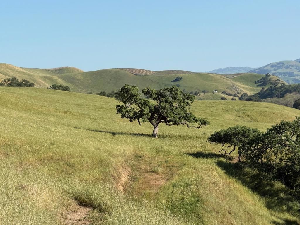 Image 26 of property listing at 0 Airline Highway, Tres Pinos, CA 95075