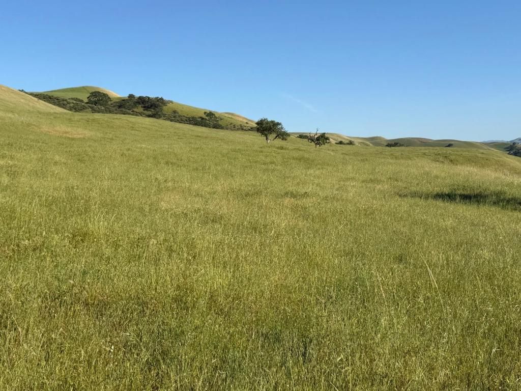 Image 28 of property listing at 0 Airline Highway, Tres Pinos, CA 95075